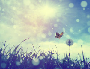 ThetaHealing-intuitive-anatomie